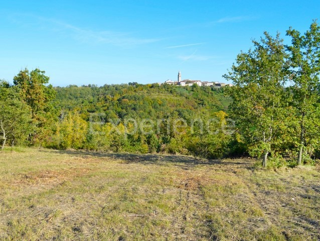 Motovun, tenuta 44.000 m² con terreno edificabile e vista