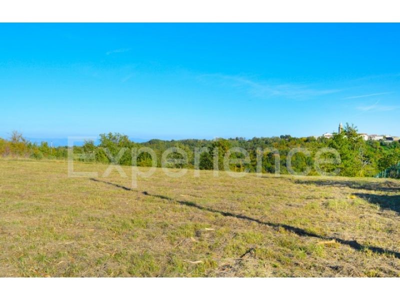 Motovun, tenuta 44.000 m² con terreno edificabile e vista