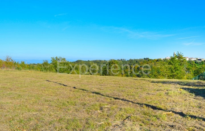 Motovun, tenuta 44.000 m² con terreno edificabile e vista