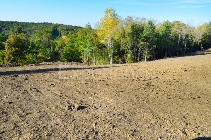 Motovun, tenuta 44.000 m² con terreno edificabile e vista