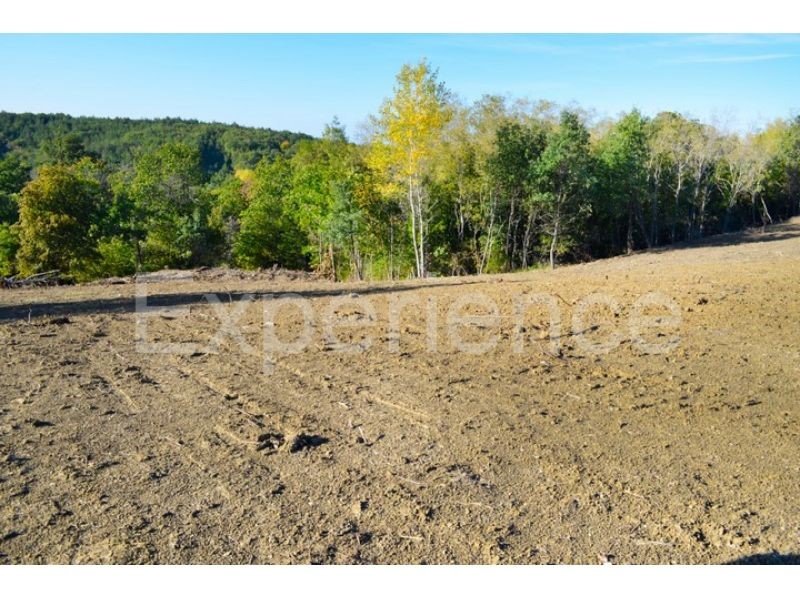 Motovun, tenuta 44.000 m² con terreno edificabile e vista