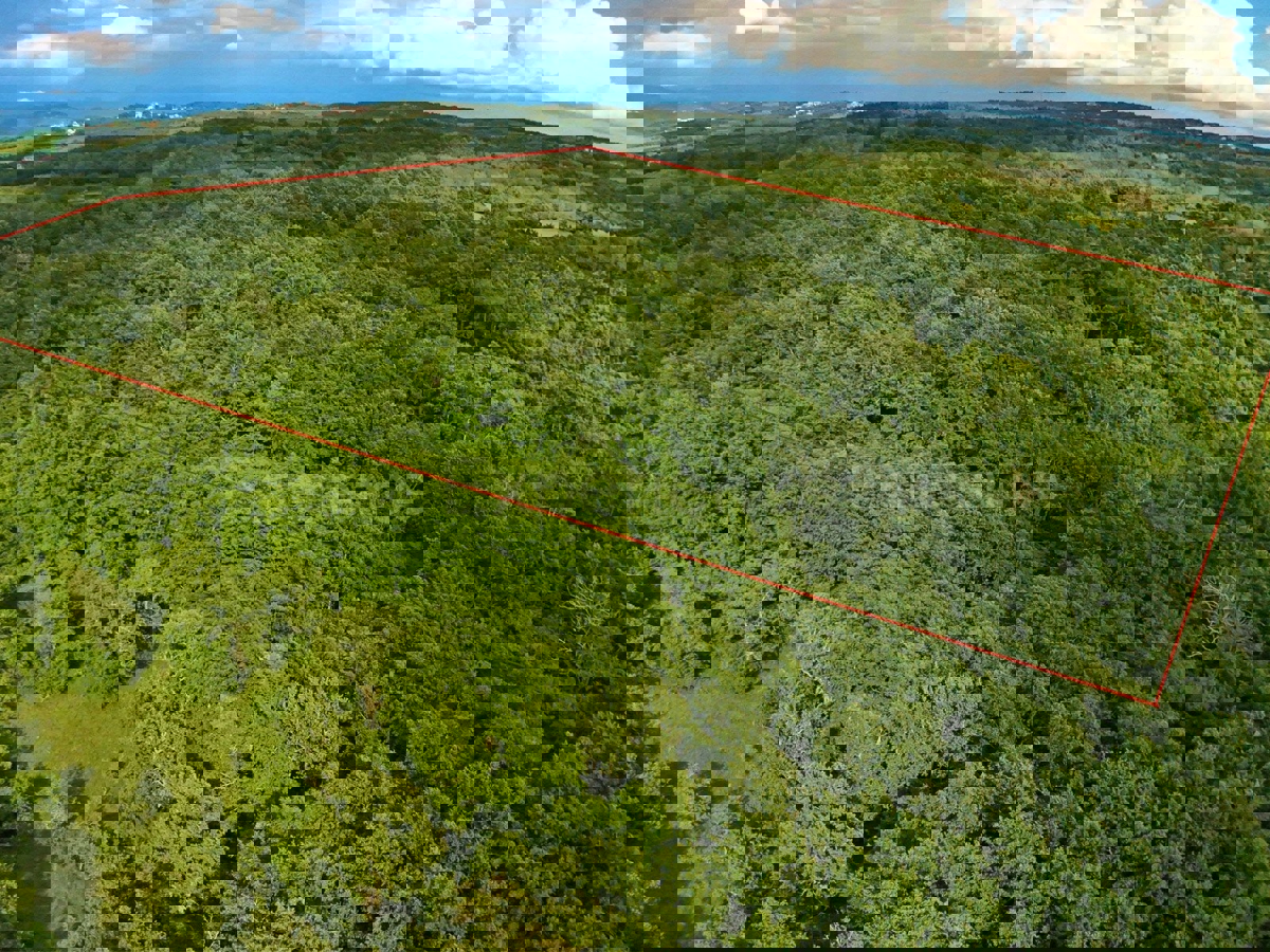 Kaštelir - foresta, superficie di 40.774 m²