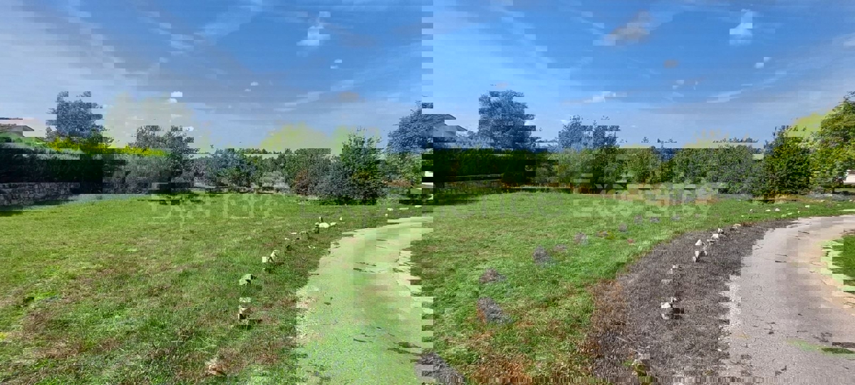 ISTRIA, vicino a Sveti Lovreč – terreno edificabile per la costruzione di 2 ville!