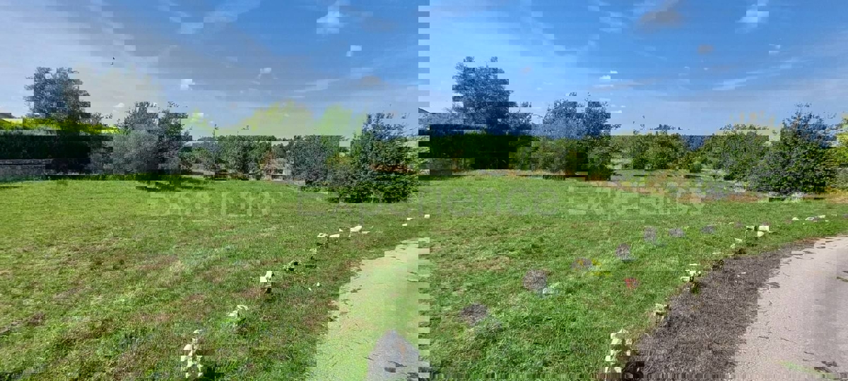 ISTRIA, vicino a Sveti Lovreč – terreno edificabile per la costruzione di 2 ville!