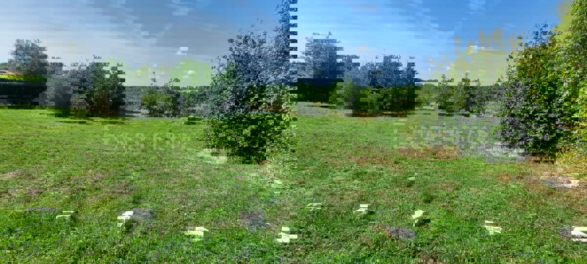 ISTRIA, vicino a Sveti Lovreč – terreno edificabile per la costruzione di 2 ville!