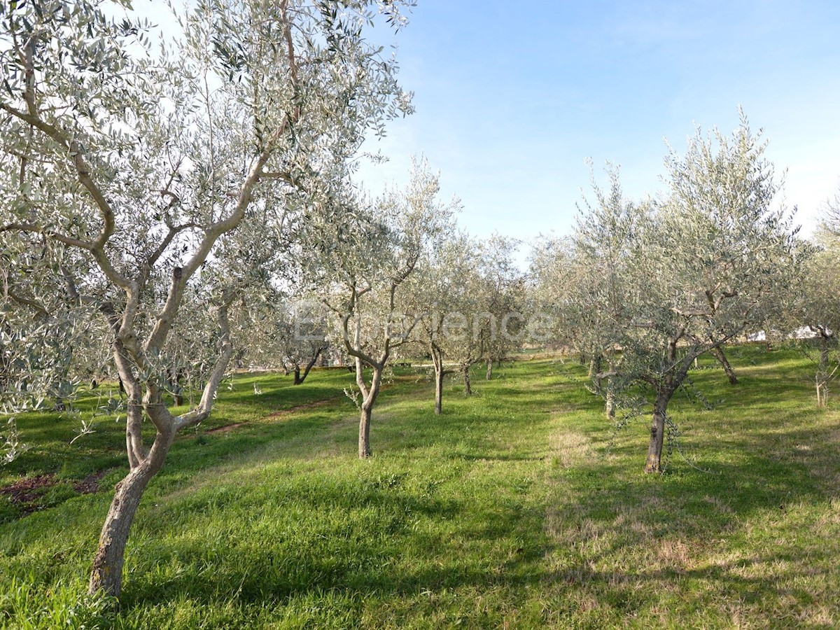 Kaštelir - terreno edificabile, superficie di 817 m²!