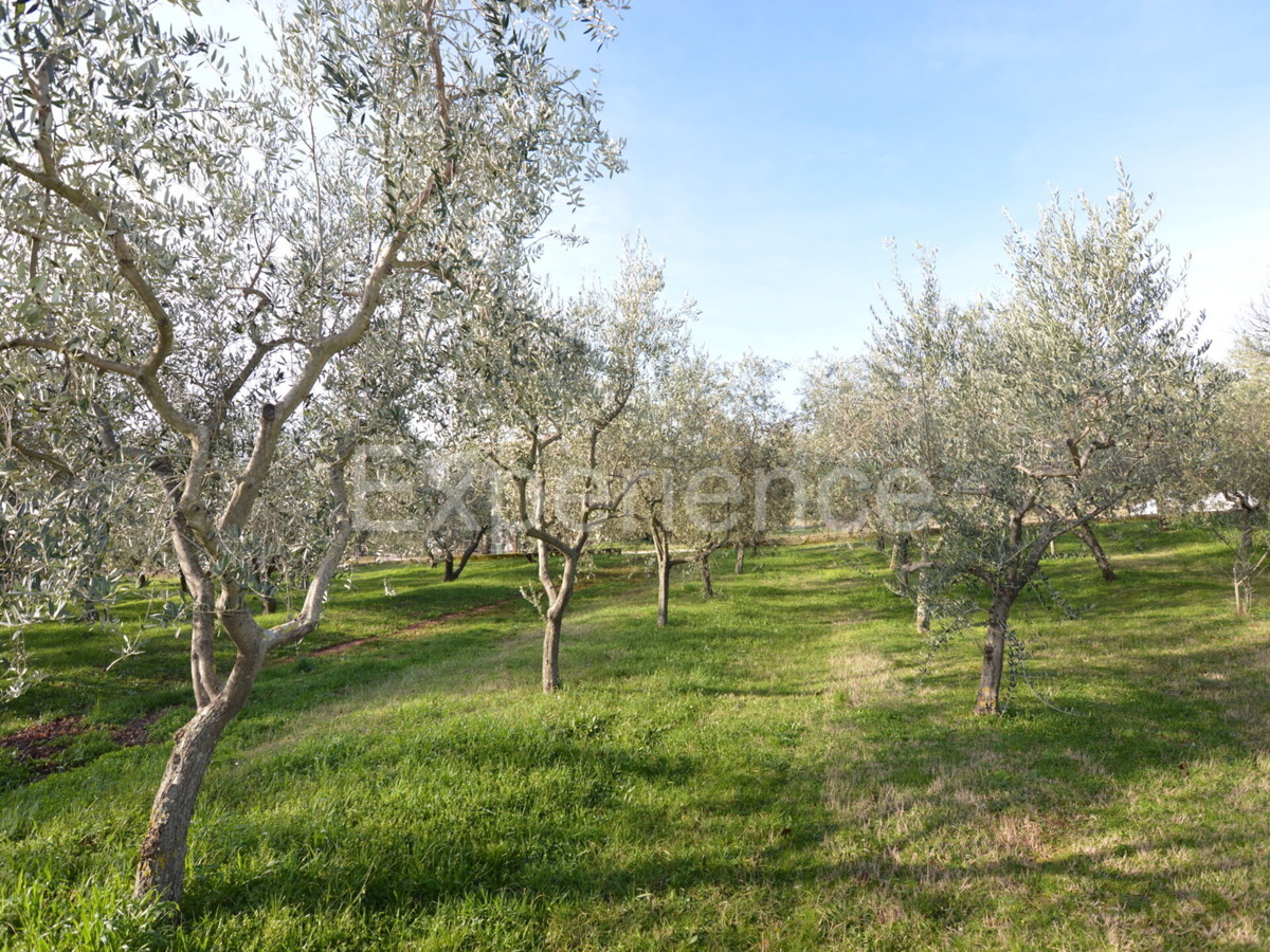 Kaštelir - terreno edificabile, superficie di 817 m²!