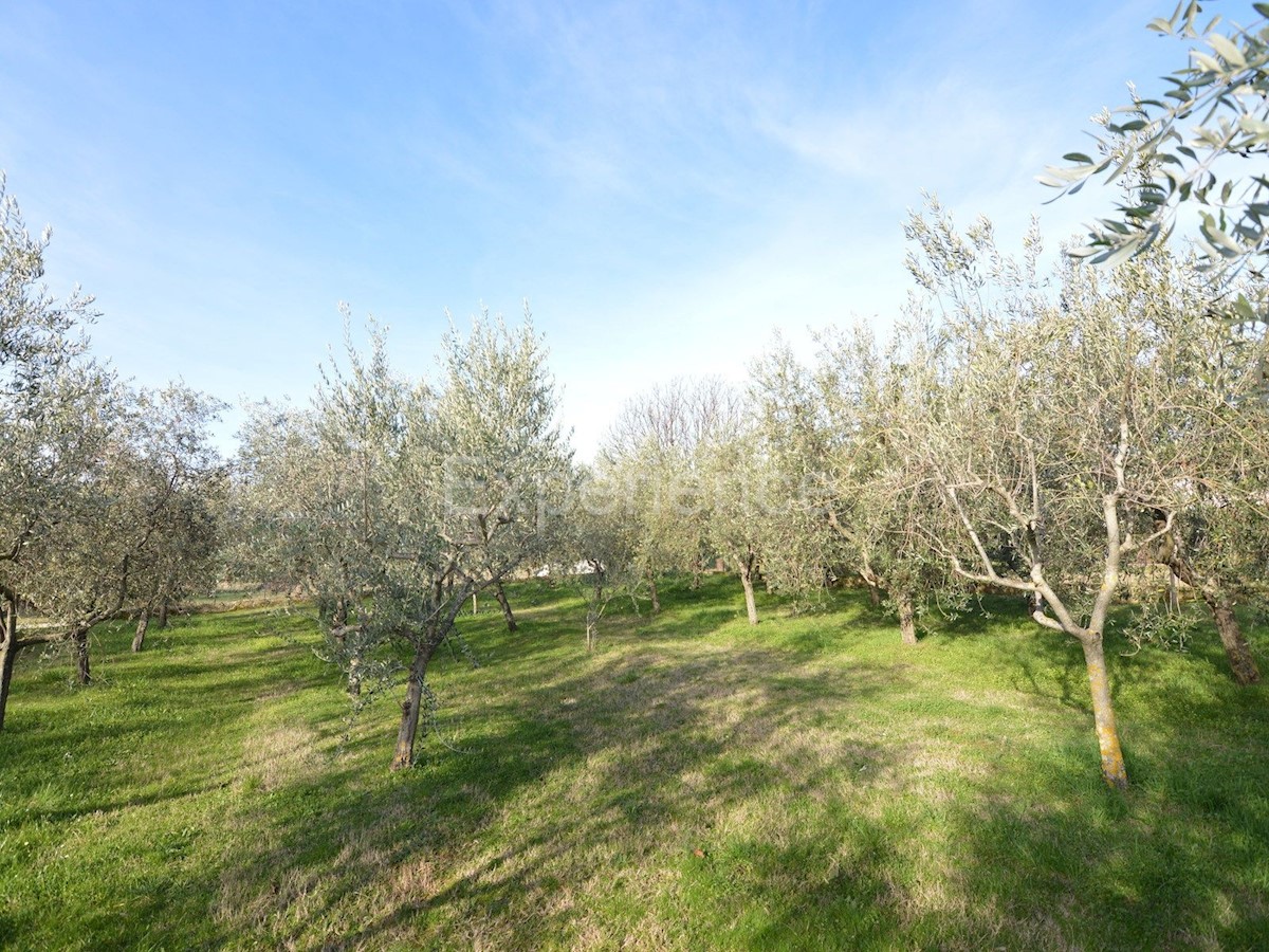 Kaštelir - terreno edificabile, superficie di 817 m²!