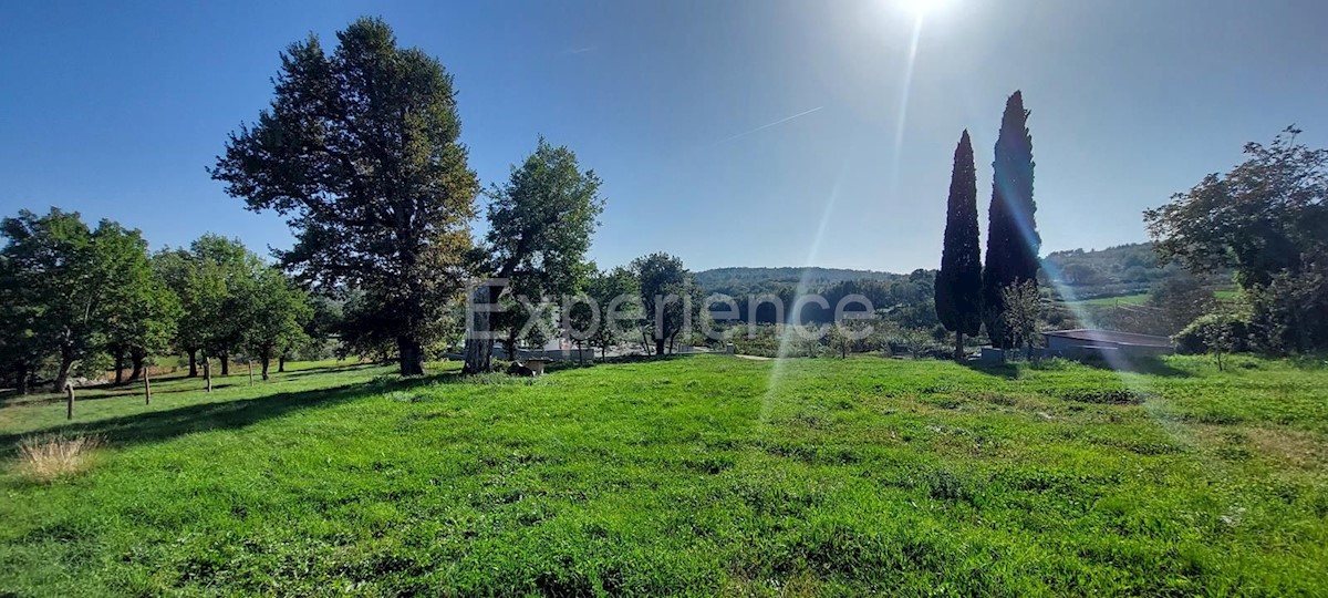 Vicino a Montona - in un ambiente idilliaco, terreno edificabile!