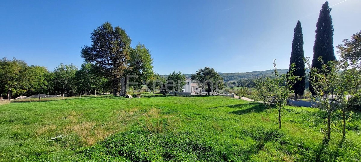 Vicino a Montona - in un ambiente idilliaco, terreno edificabile!