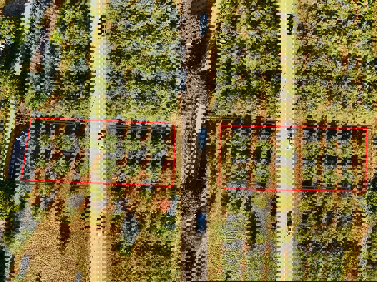 Vendita di terreno agricolo con ulivi secolari a Vabriga