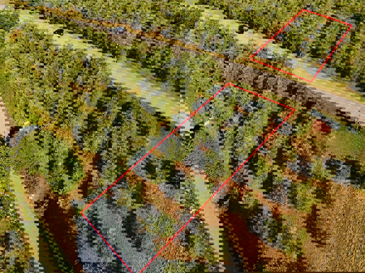 Vendita di terreno agricolo con ulivi secolari a Vabriga