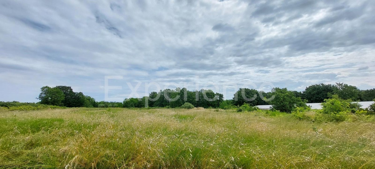 Kaštelir - terreno edificabile, superficie di 900 m²!