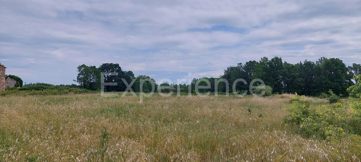 Kaštelir - terreno edificabile, superficie di 900 m²!