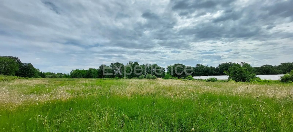 Kaštelir - terreno edificabile, superficie di 900 m²!