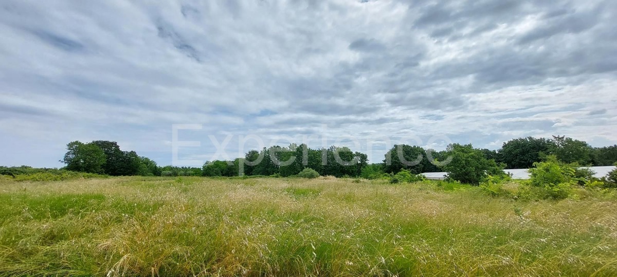 Kaštelir - terreno edificabile, superficie di 900 m²!