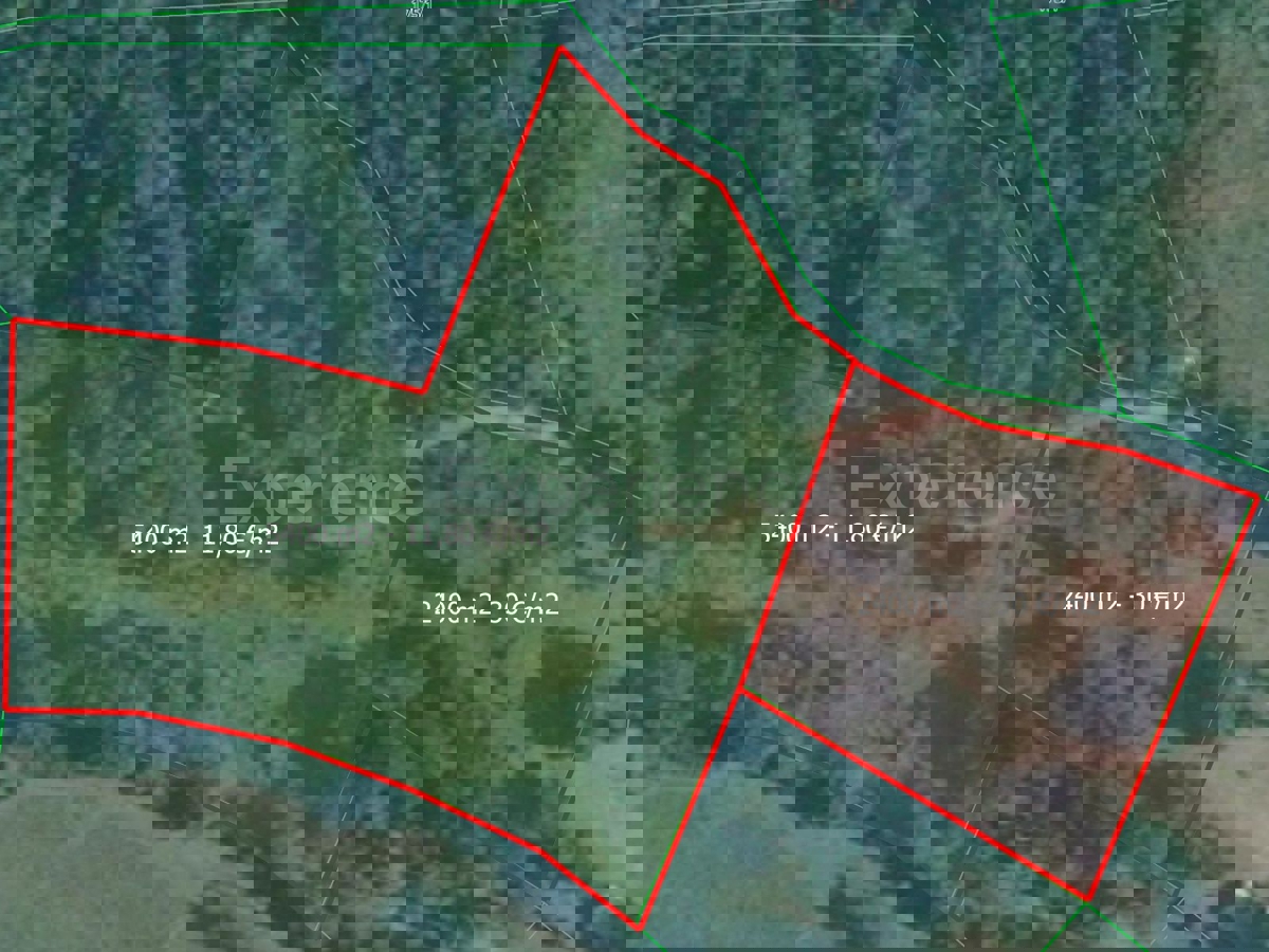 ISTRIA, Montona - terreno agricolo adiacente alla zona edificabile, VISTA SU MONTONA!