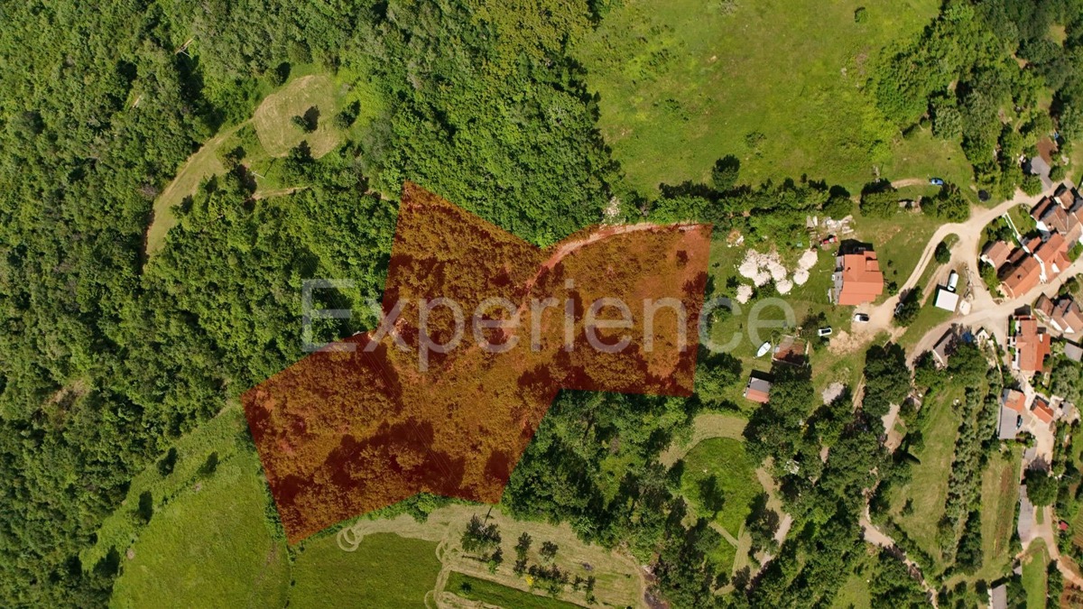 ISTRIA, Montona - terreno agricolo adiacente alla zona edificabile, VISTA SU MONTONA!