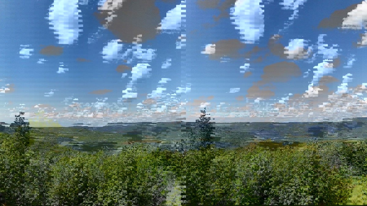 ISTRIA, Montona - terreno agricolo adiacente alla zona edificabile, VISTA SU MONTONA!