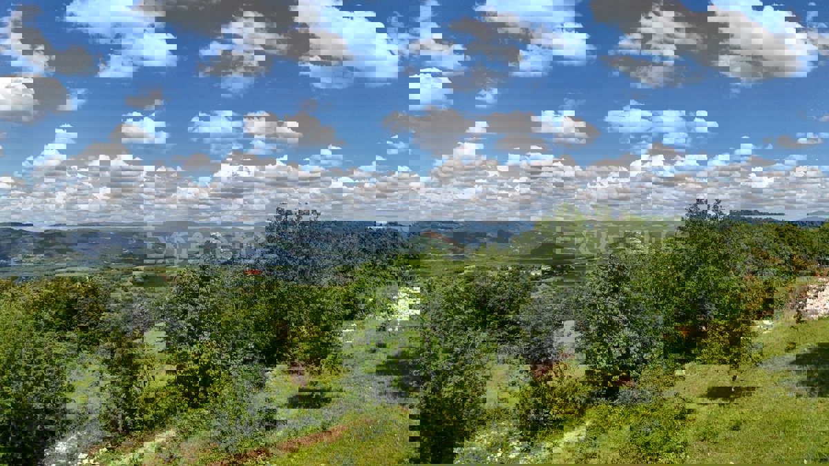 ISTRIA, Montona - terreno agricolo adiacente alla zona edificabile, VISTA SU MONTONA!