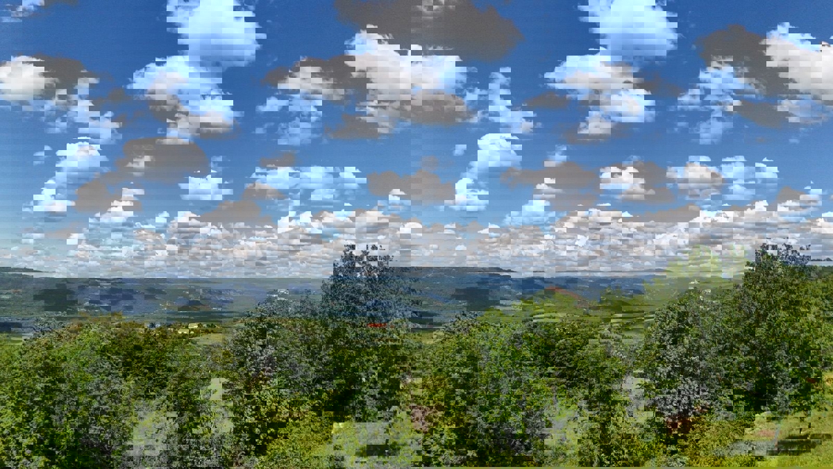 ISTRIA, Montona - terreno agricolo adiacente alla zona edificabile, VISTA SU MONTONA!