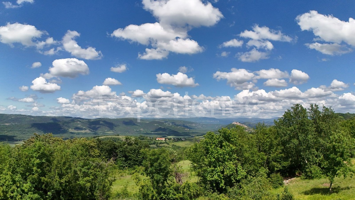 ISTRIA, Montona - terreno agricolo adiacente alla zona edificabile, VISTA SU MONTONA!