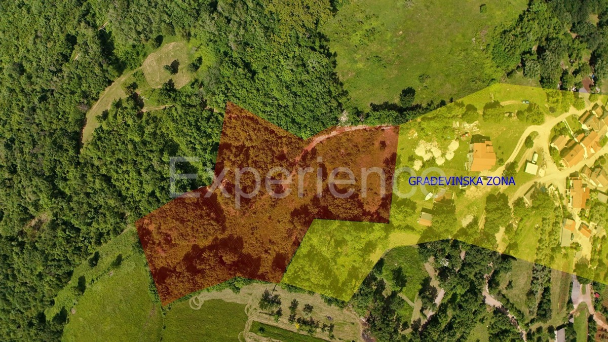 ISTRIA, Montona - terreno agricolo adiacente alla zona edificabile, VISTA SU MONTONA!