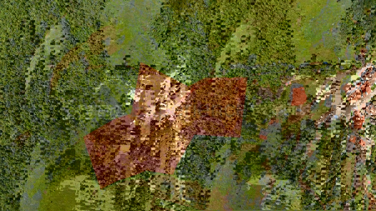 ISTRIA, Montona - terreno agricolo adiacente alla zona edificabile, VISTA SU MONTONA!