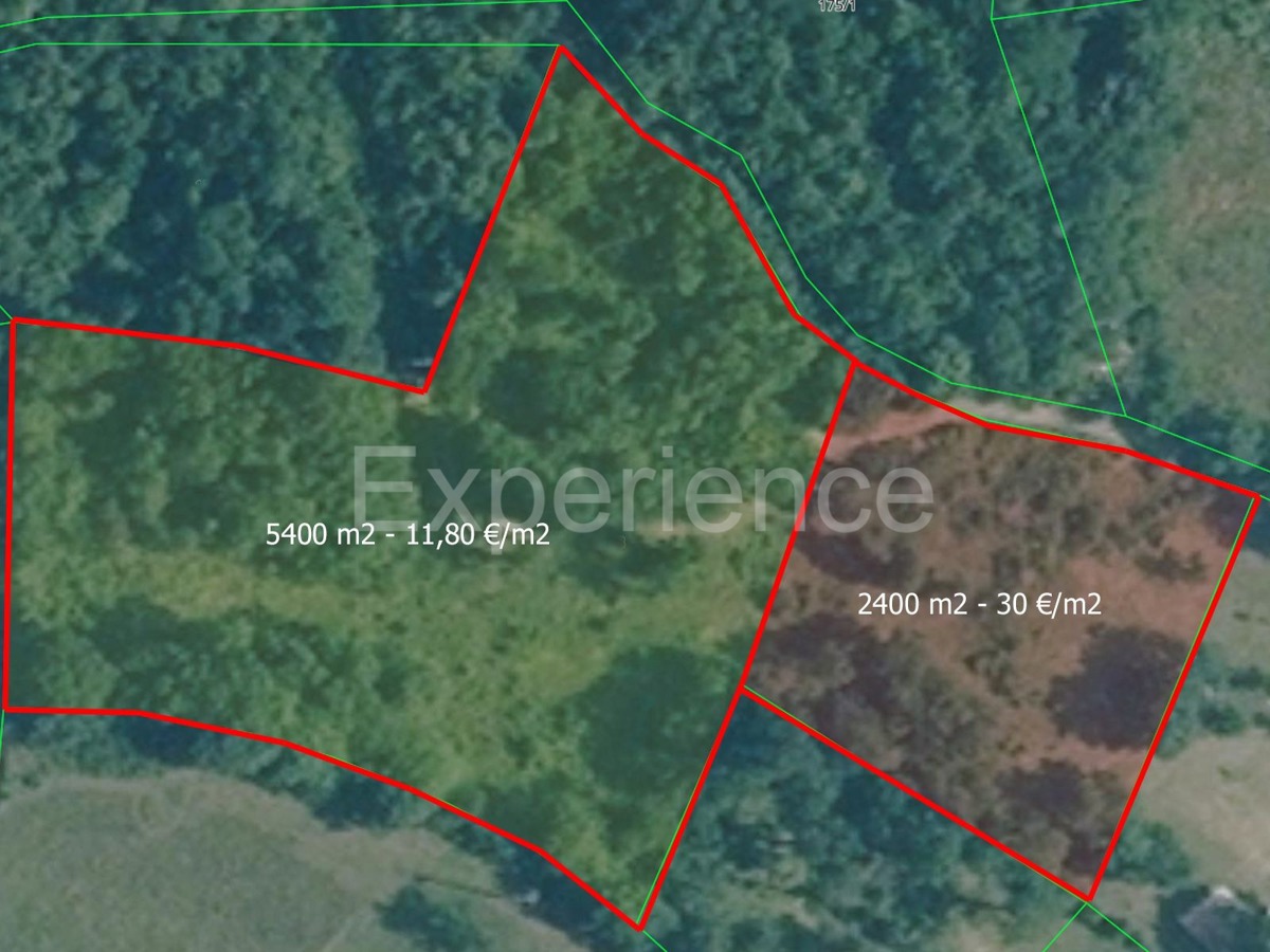 ISTRIA, Montona - terreno agricolo adiacente alla zona edificabile, VISTA SU MONTONA!