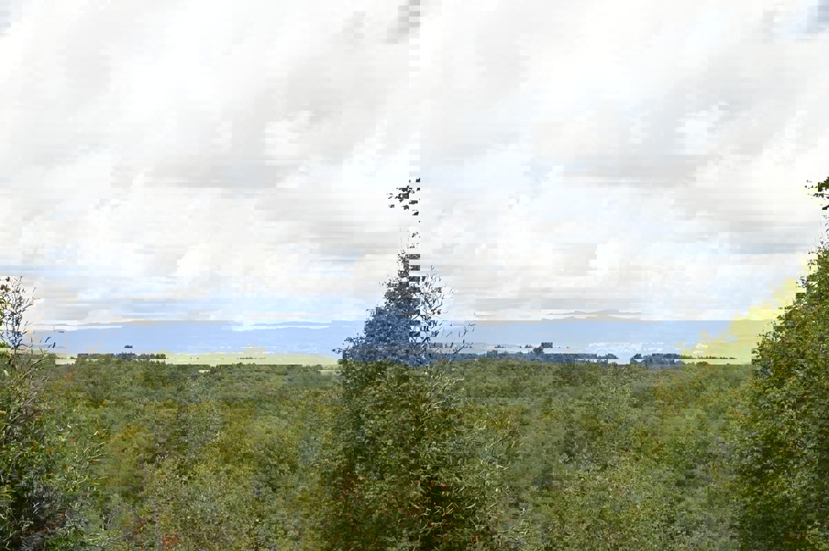 Zona di Visignano: terreno edificabile con PERMESSO DI COSTRUZIONE, allacciamento elettrico e idrico!