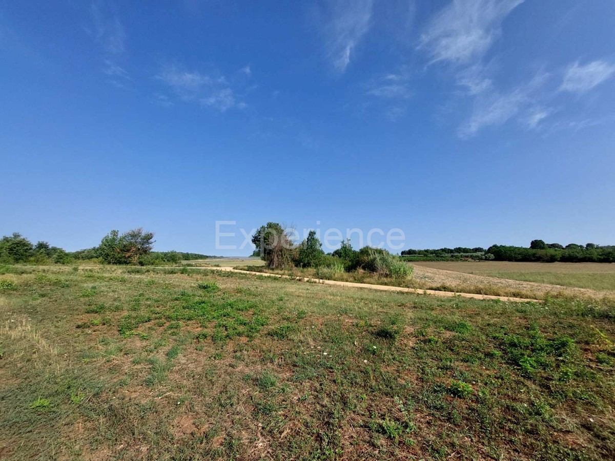 A Kaštelir - terreno agricolo vicino all'AREA EDIFICABILE!