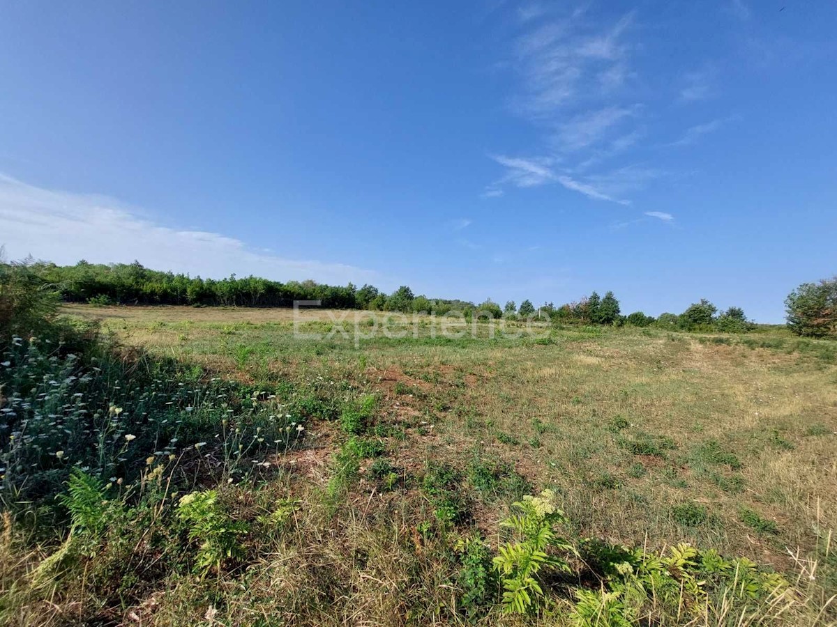 A Kaštelir - terreno agricolo vicino all'AREA EDIFICABILE!