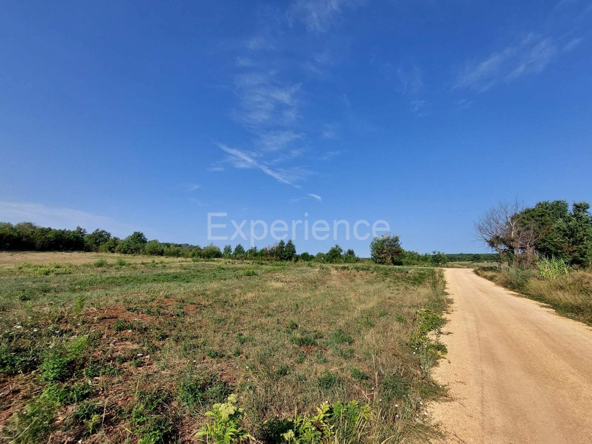 A Kaštelir - terreno agricolo vicino all'AREA EDIFICABILE!
