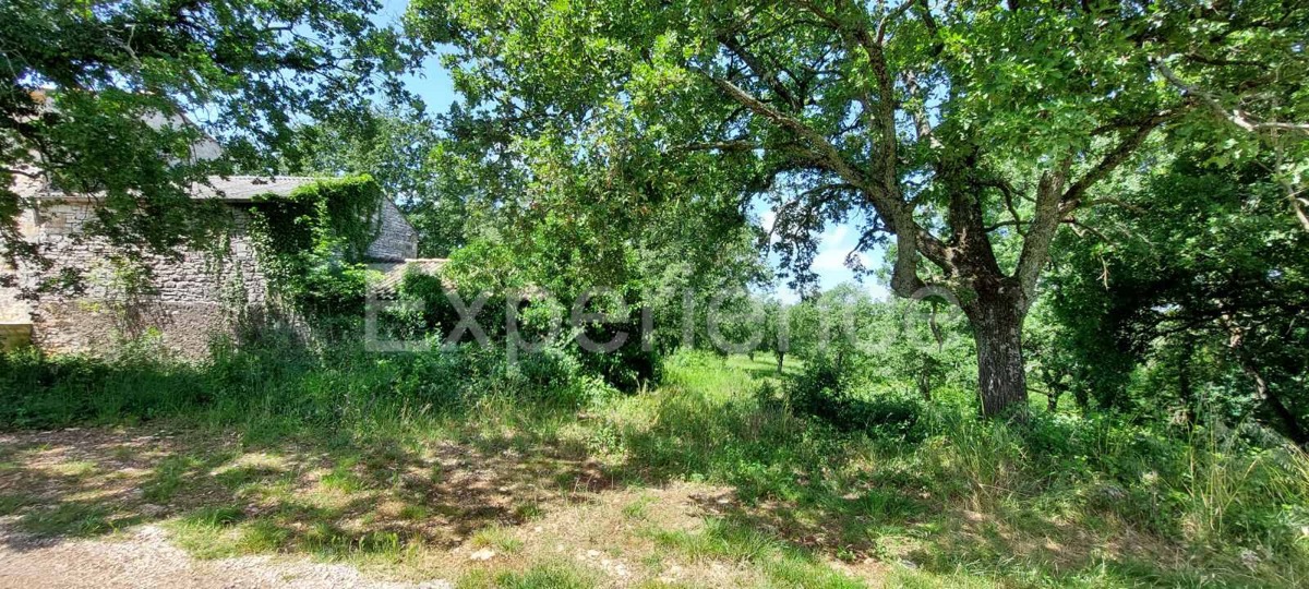Nelle vicinanze di Sveti Lovreč - terreno edificabile con casa in pietra!
