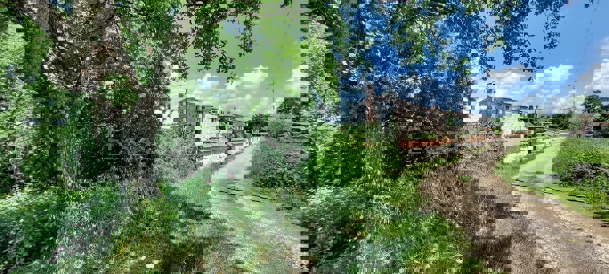 Nelle vicinanze di Sveti Lovreč - terreno edificabile con casa in pietra!