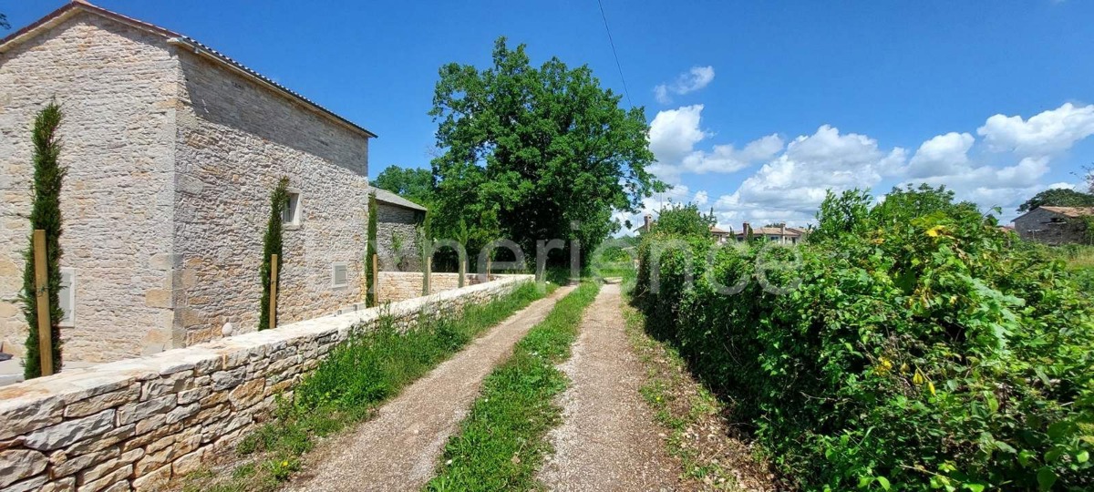 Nelle vicinanze di Sveti Lovreč - terreno edificabile con casa in pietra!