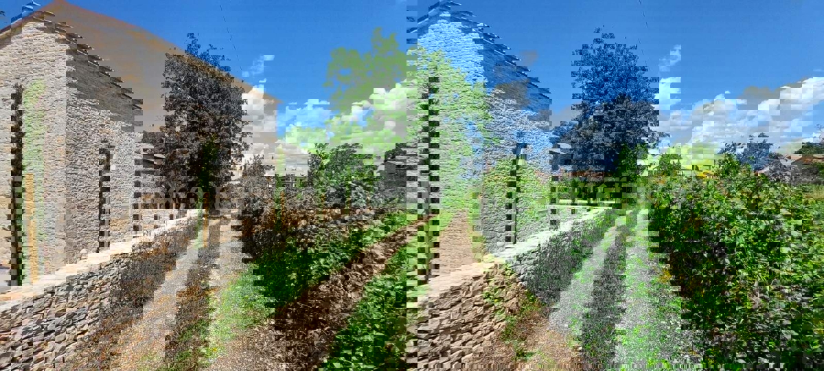 Nelle vicinanze di Sveti Lovreč - terreno edificabile con casa in pietra!