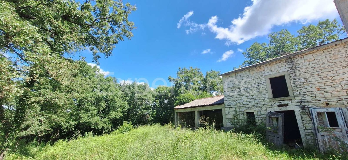 Nelle vicinanze di Sveti Lovreč - terreno edificabile con casa in pietra!
