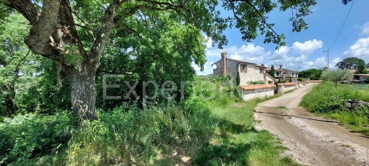 Nelle vicinanze di Sveti Lovreč - terreno edificabile con casa in pietra!