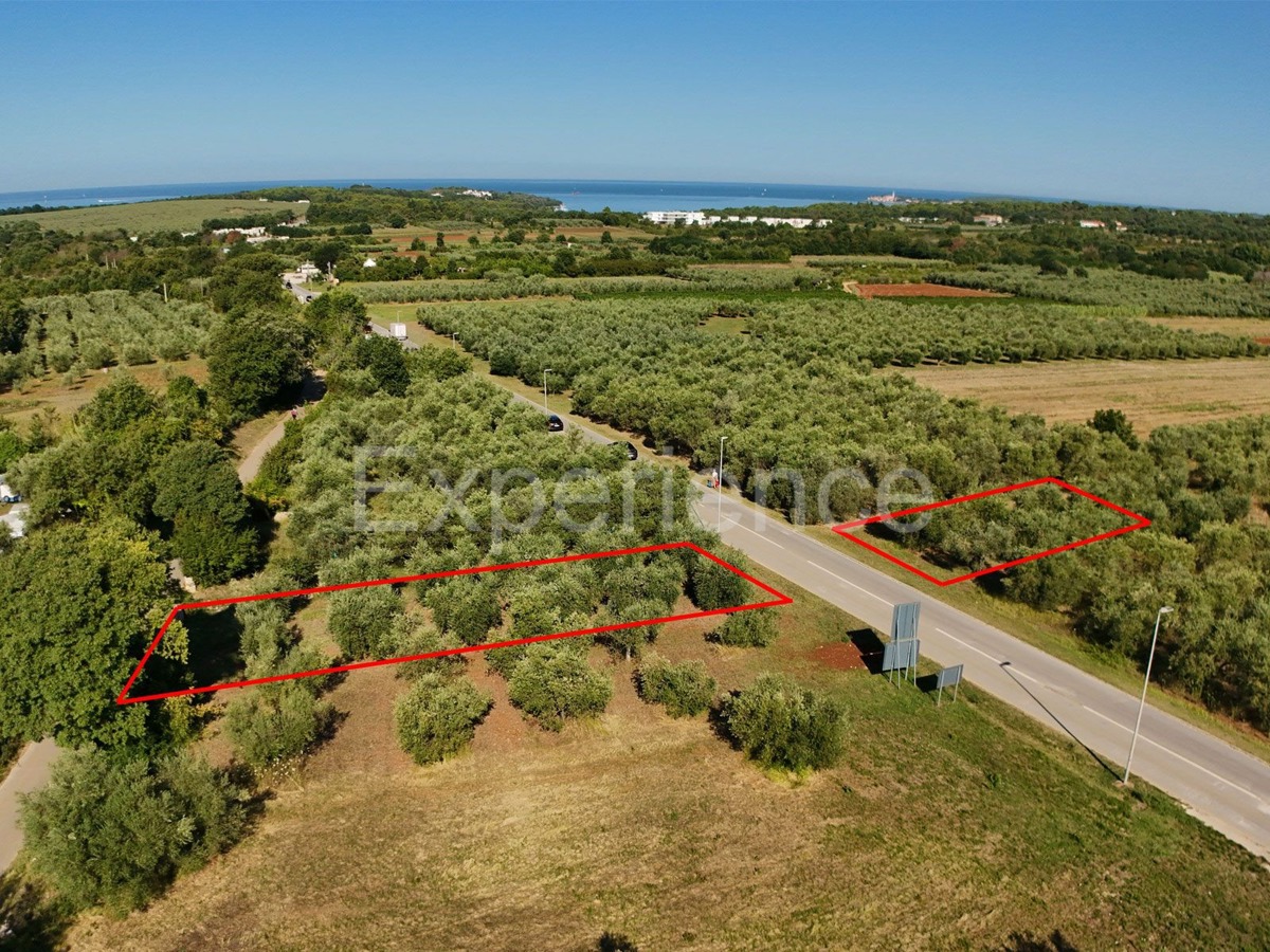 Vendita di terreno agricolo con ulivi secolari a Vabriga