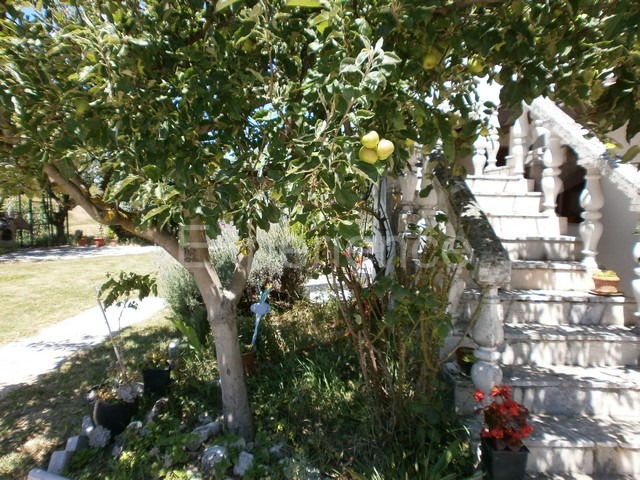 Vižinada, casa con 5 appartamenti, vista Motovun, zona tranquilla