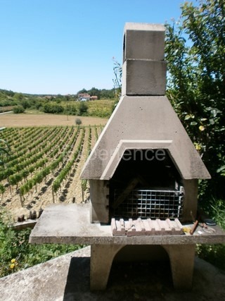 Vižinada, casa con 5 appartamenti, vista Motovun, zona tranquilla