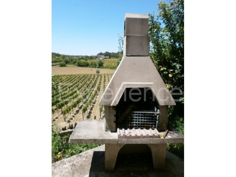 Vižinada, casa con 5 appartamenti, vista Motovun, zona tranquilla