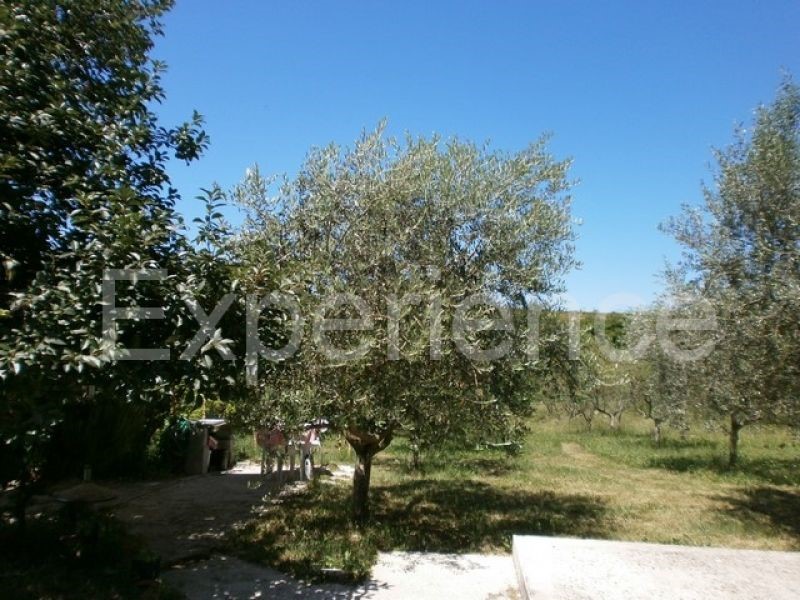 Vižinada, casa con 5 appartamenti, vista Motovun, zona tranquilla