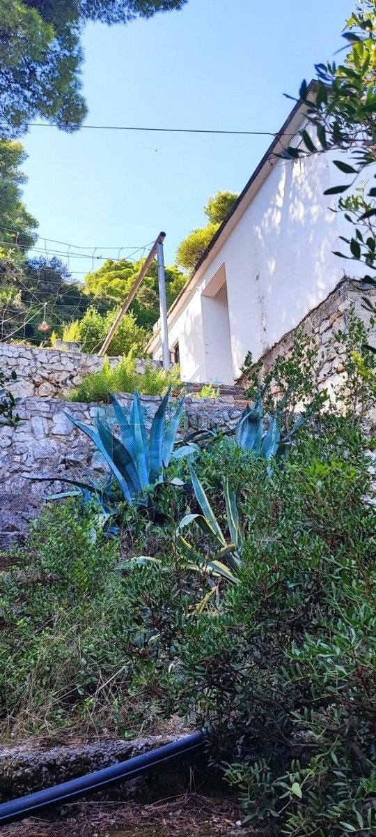 DU1674 – Casa fronte mare con sentiero per il mare, Mljet, in vendita