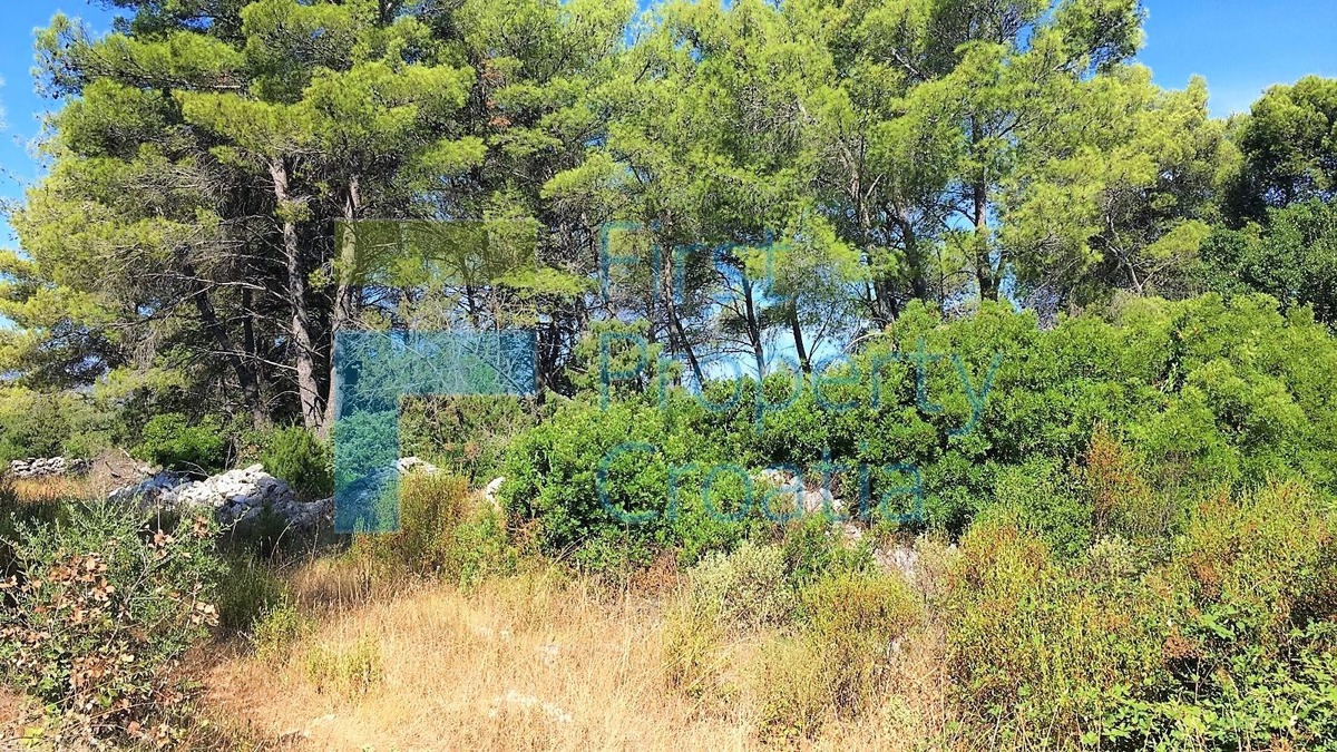 HV1671 - Terreno alla fine della zona di costruzione, Hvar, in vendita