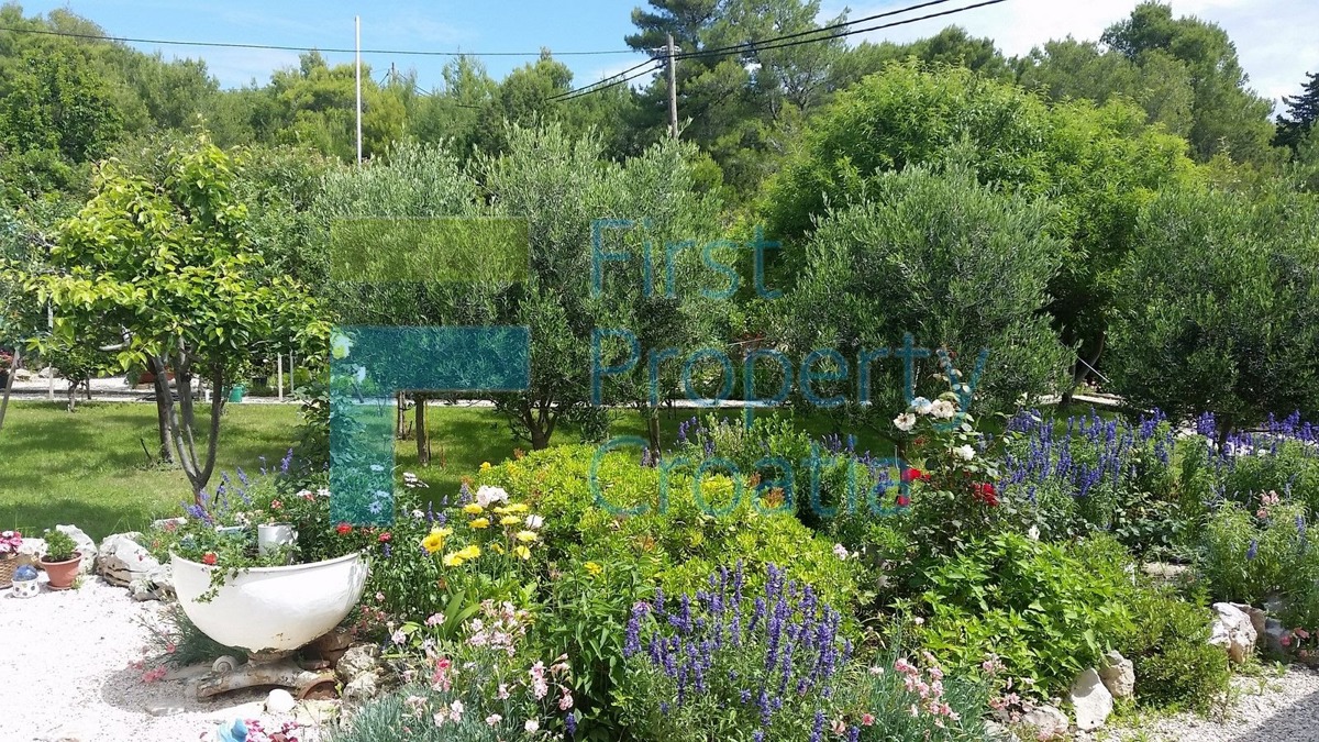 BR1074 - Casa vicino al mare su un terreno grande, Brač, in vendita