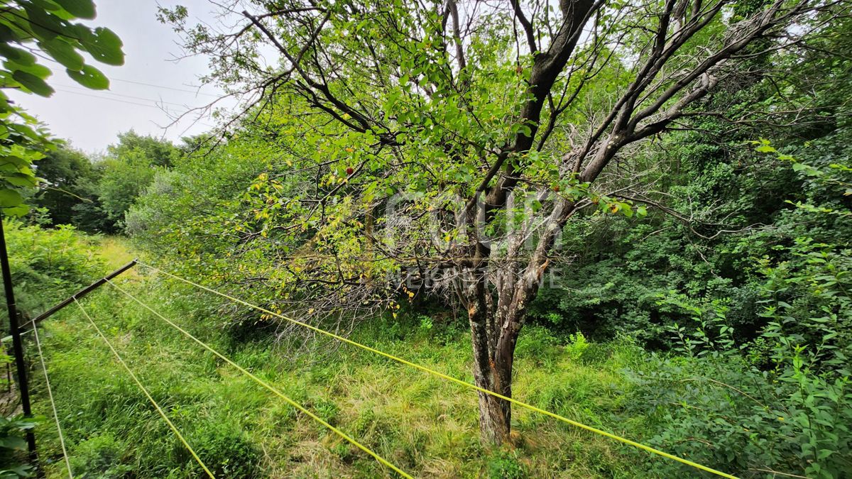 Grižane-Belgrad, Vinodolska Općina, 290m2