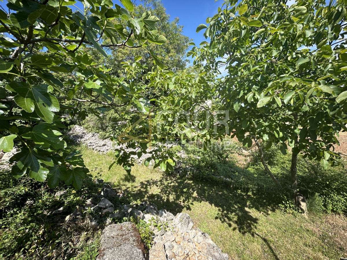 Dobrinj, 104m2
