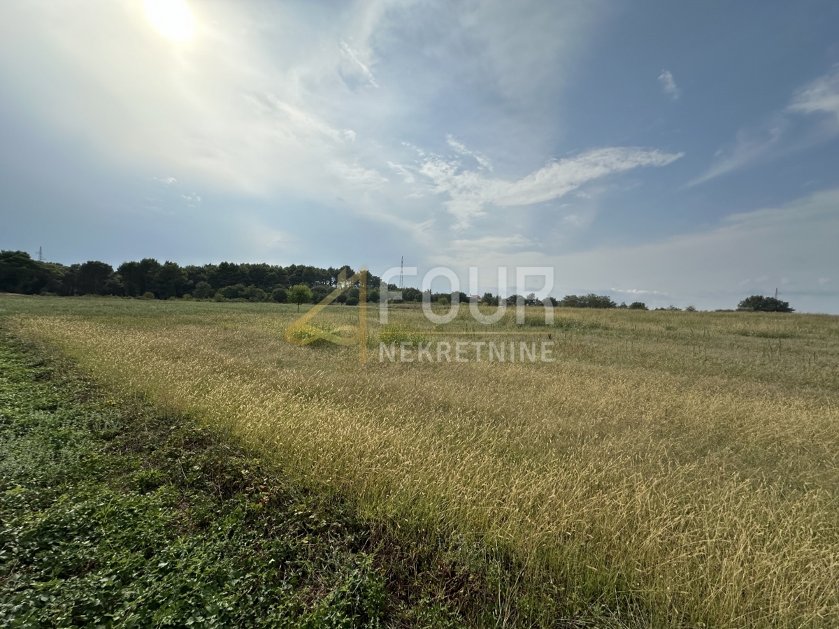 Tar, Tar-Vabriga, 5.086m2